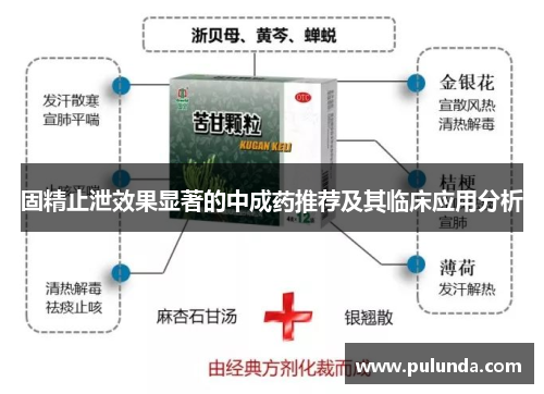 固精止泄效果显著的中成药推荐及其临床应用分析
