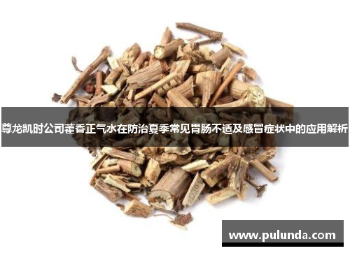 尊龙凯时公司藿香正气水在防治夏季常见胃肠不适及感冒症状中的应用解析