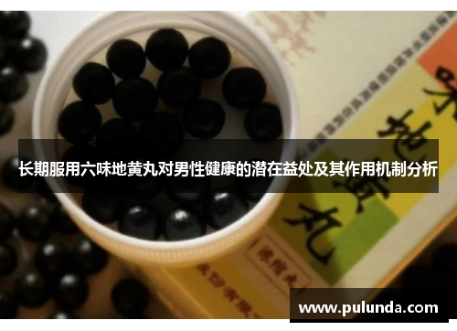 长期服用六味地黄丸对男性健康的潜在益处及其作用机制分析